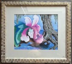 Orchidea Cattleya
