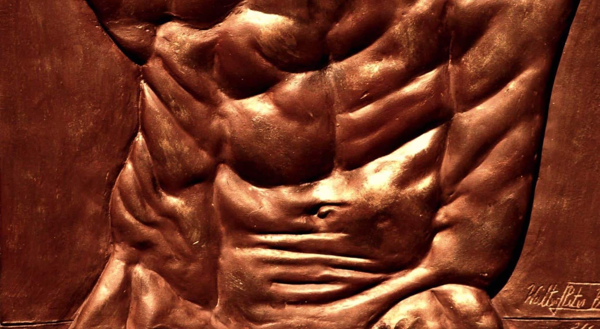 Torse d'Hercule de Walter Peter Brenner - Sculpture en bronze, torse masculin nu en vente 2