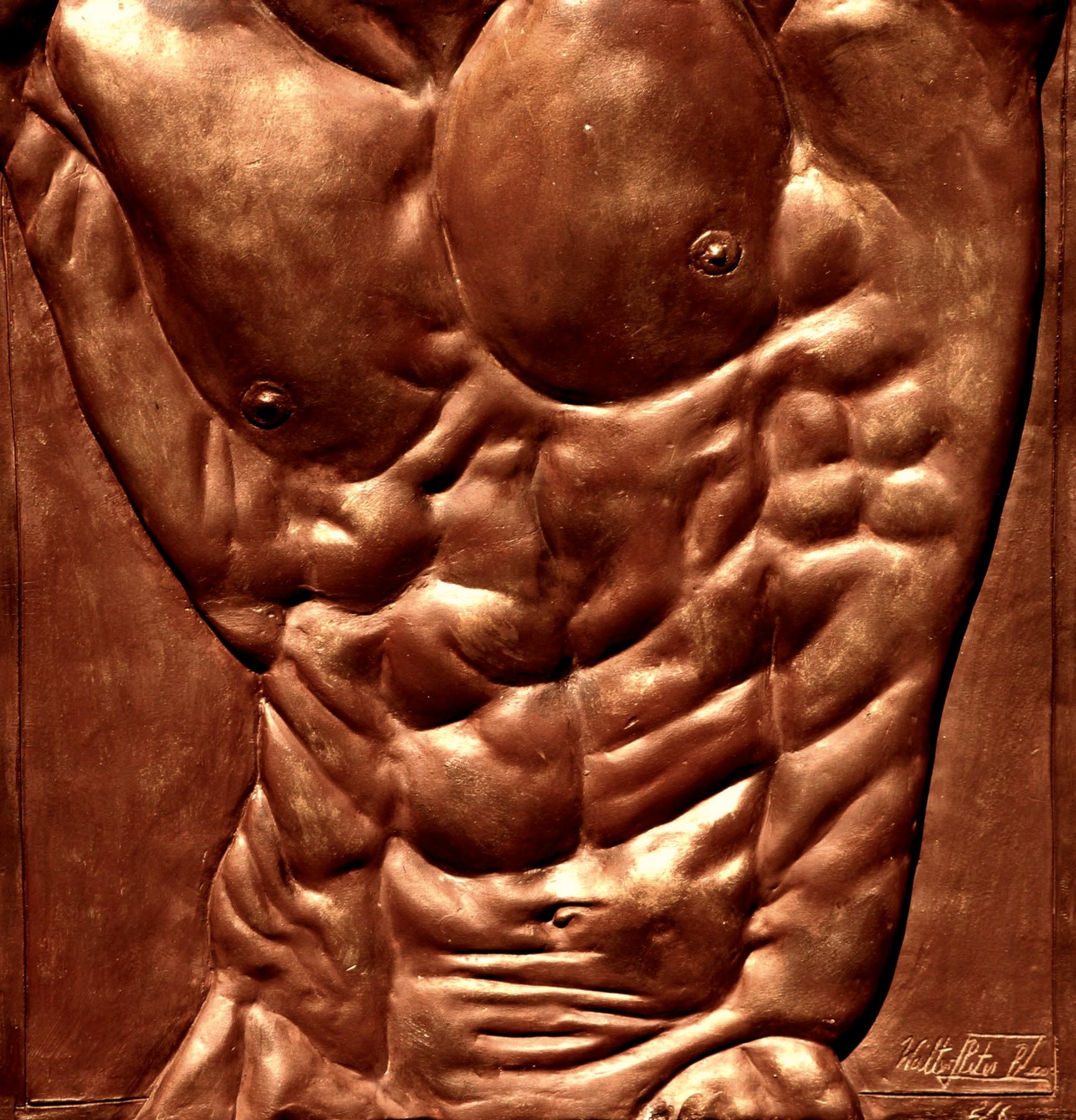 Torso of Hercules is a bronze sculpture made of brown patina made of iron nitrate and wax finish. sculpture by contemporary artist Walter Peter Brenner, dimensions are 38 × 38 × 3 cm (15 × 15 × 1.2 in). 
The sculpture is signed and numbered, comes