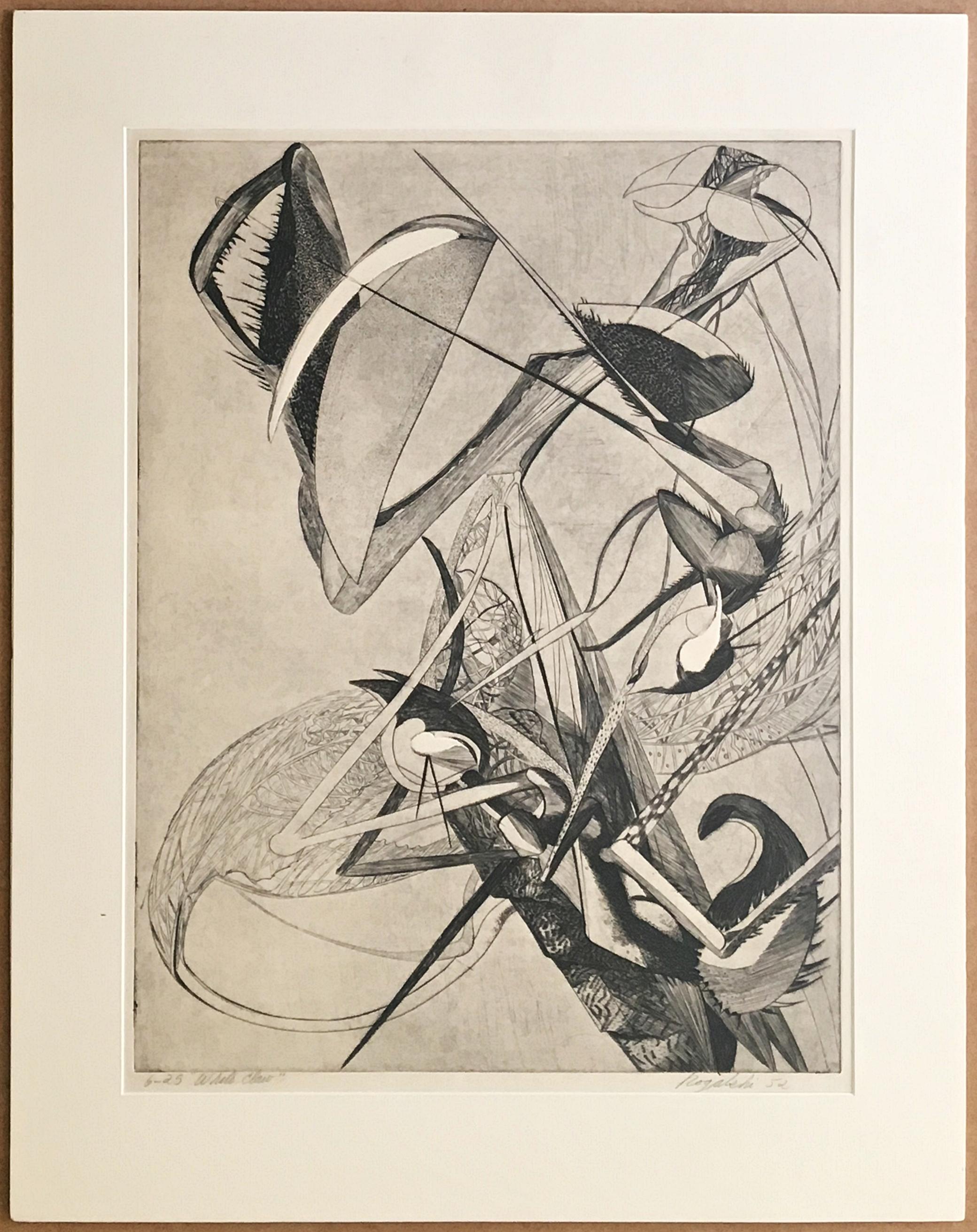 Walter Rogalski
White Claw, 1952
Engraving on antique-white laid Homere paper
Hand signed, numbered 6/25, dated and titled on lower front ; affixed to original matting
Publisher
The Print Club of Cleveland
30 3/5 × 24 1/5 inches
Unframed

