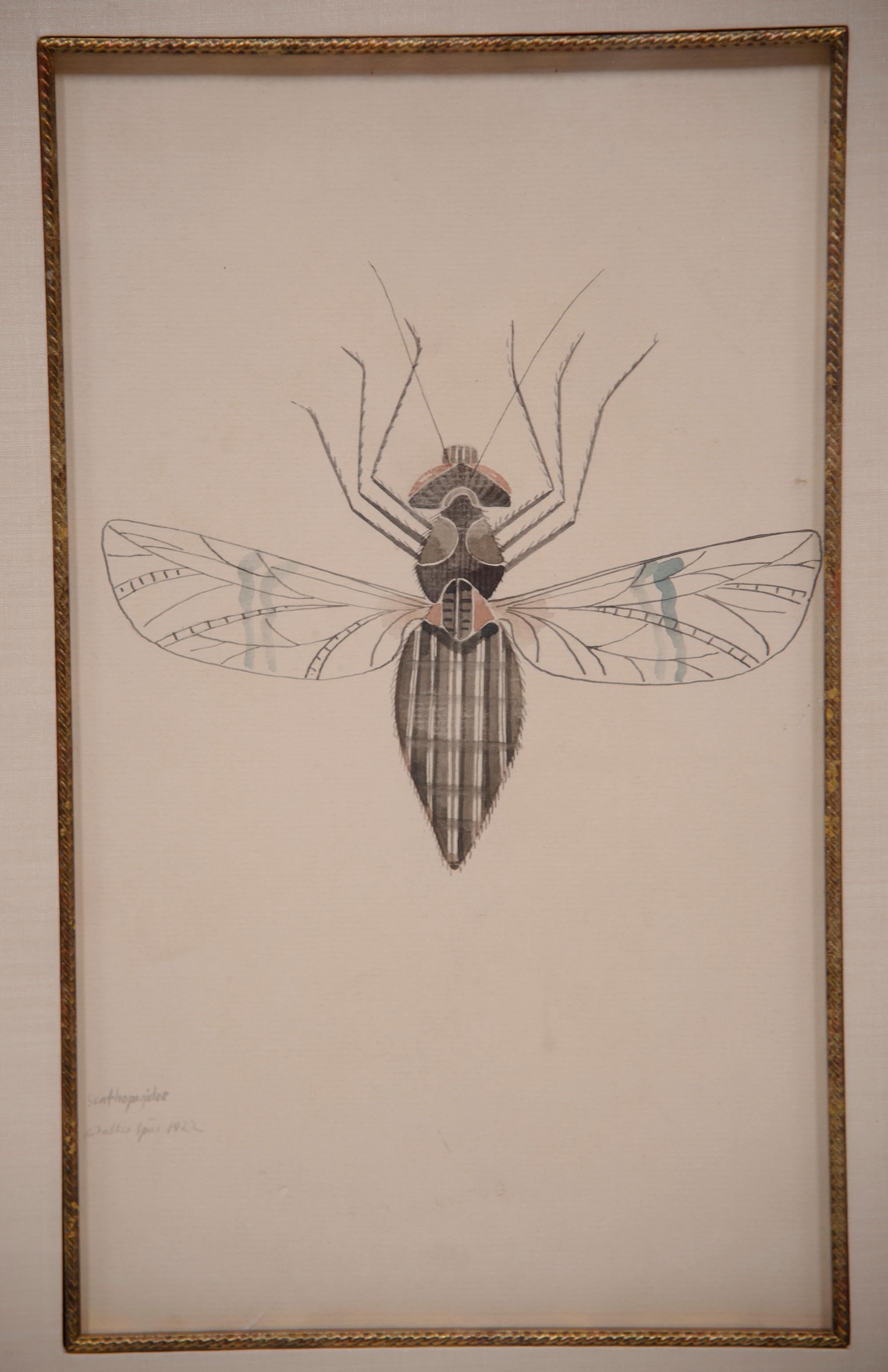 20th Century WALTER SPIES WATERCOLOURS [SET OF 4 Insect Drawings] For Sale