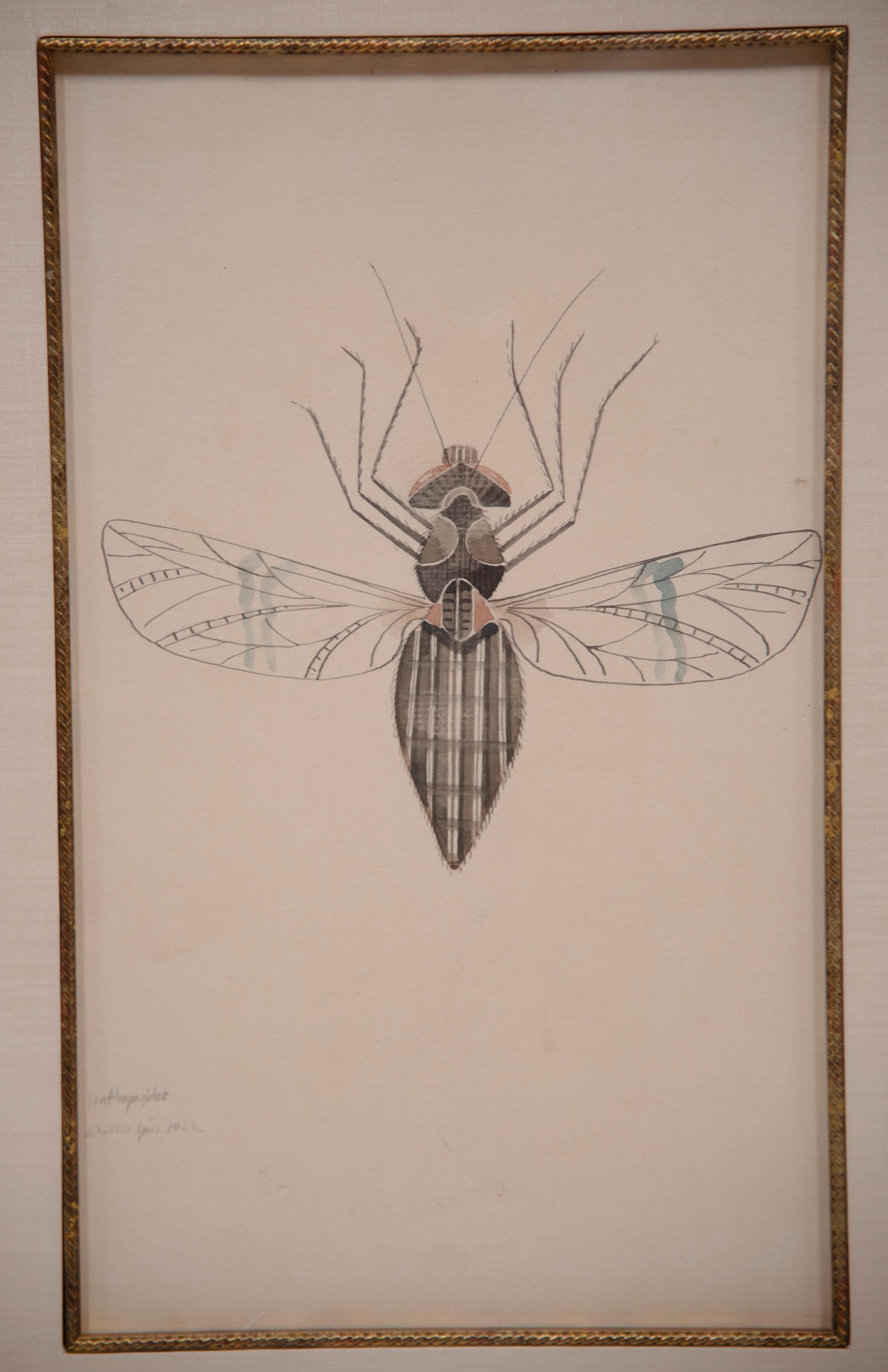 WALTER SPIES Insect Studies WATERCOLORS – Set of 4 For Sale 1