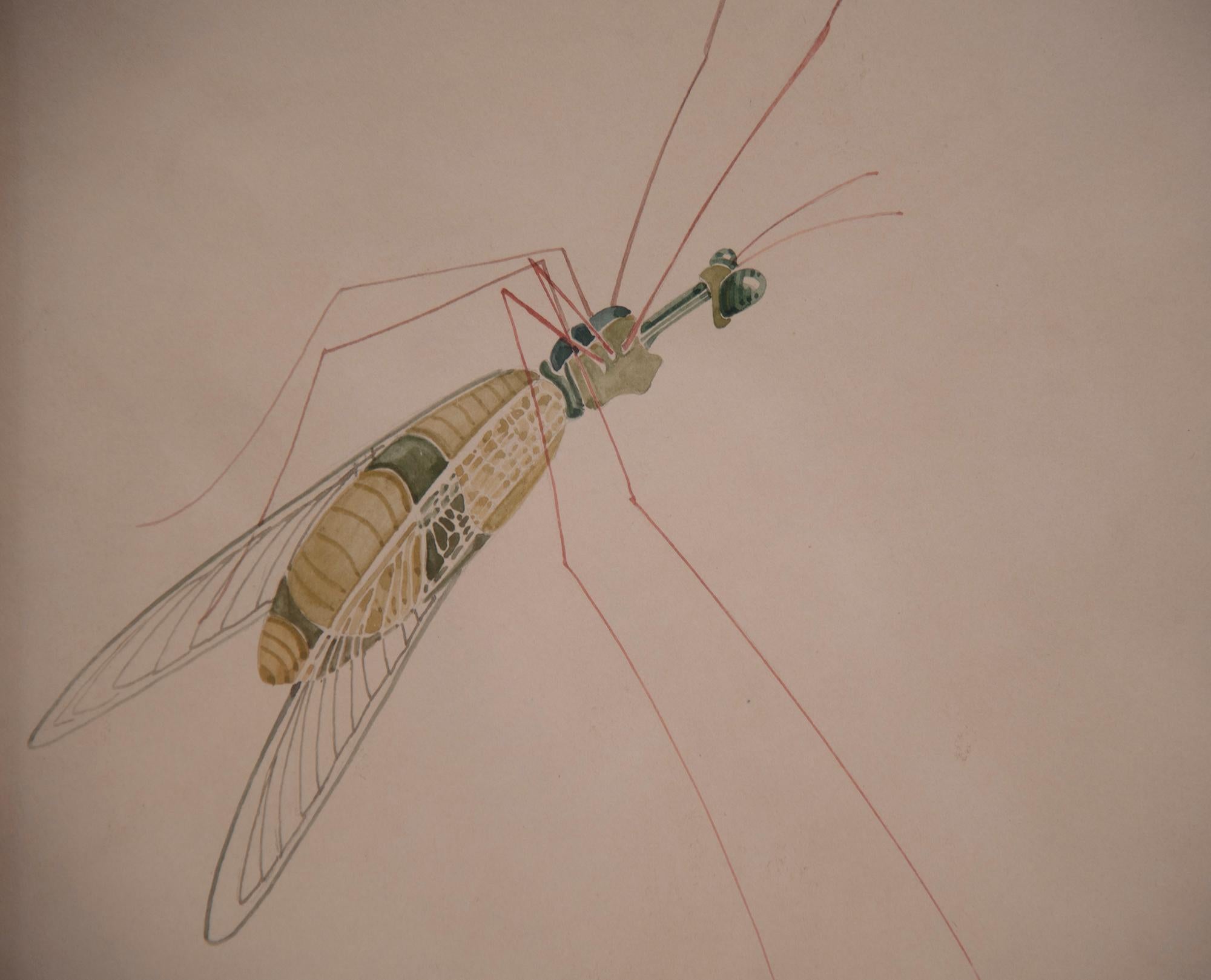Paper WALTER SPIES WATERCOLOURS [SET OF 4 Insect Drawings] For Sale