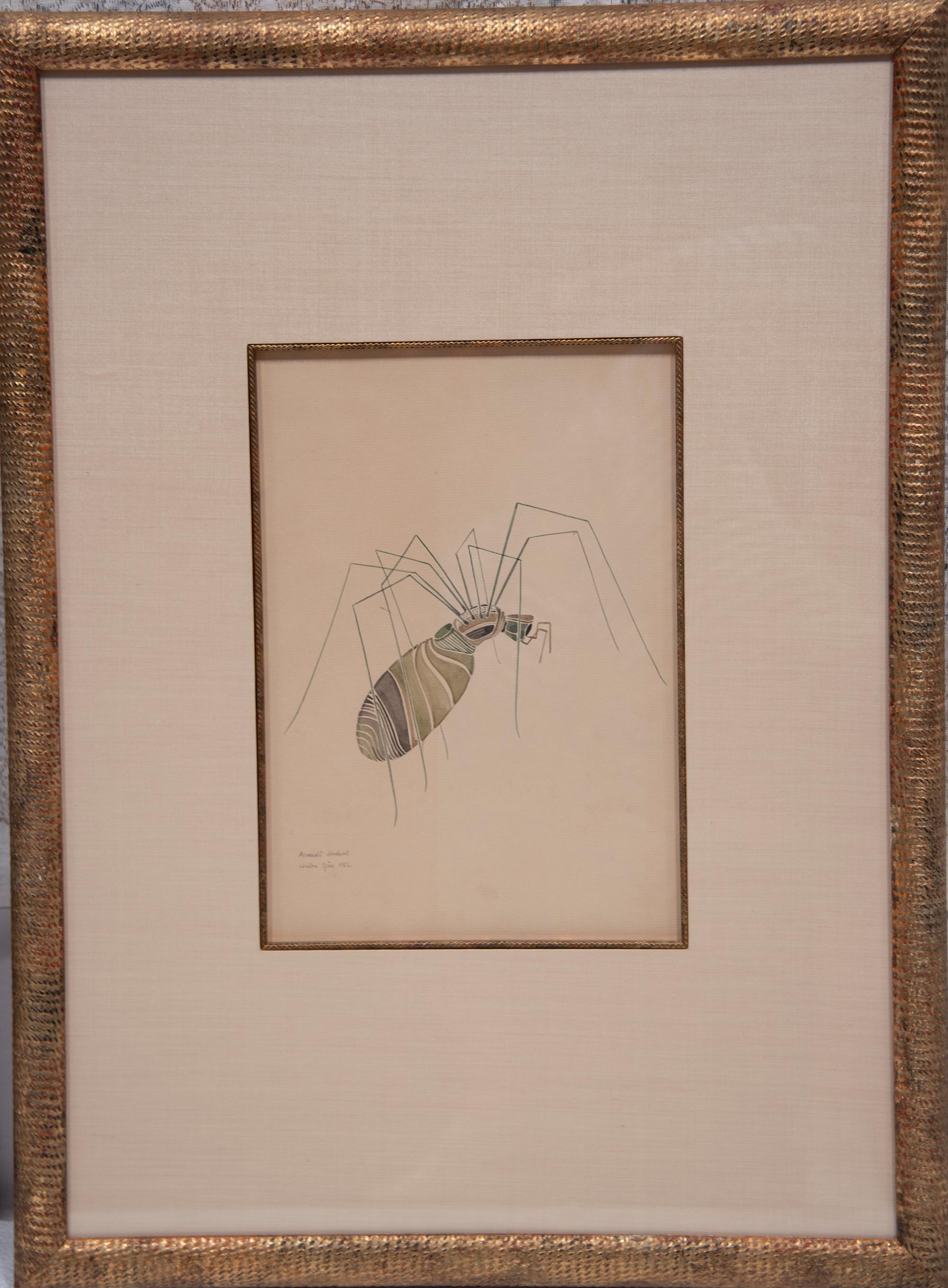 WALTER SPIES WATERCOLOURS [SET OF 4 Insect Drawings] For Sale 3