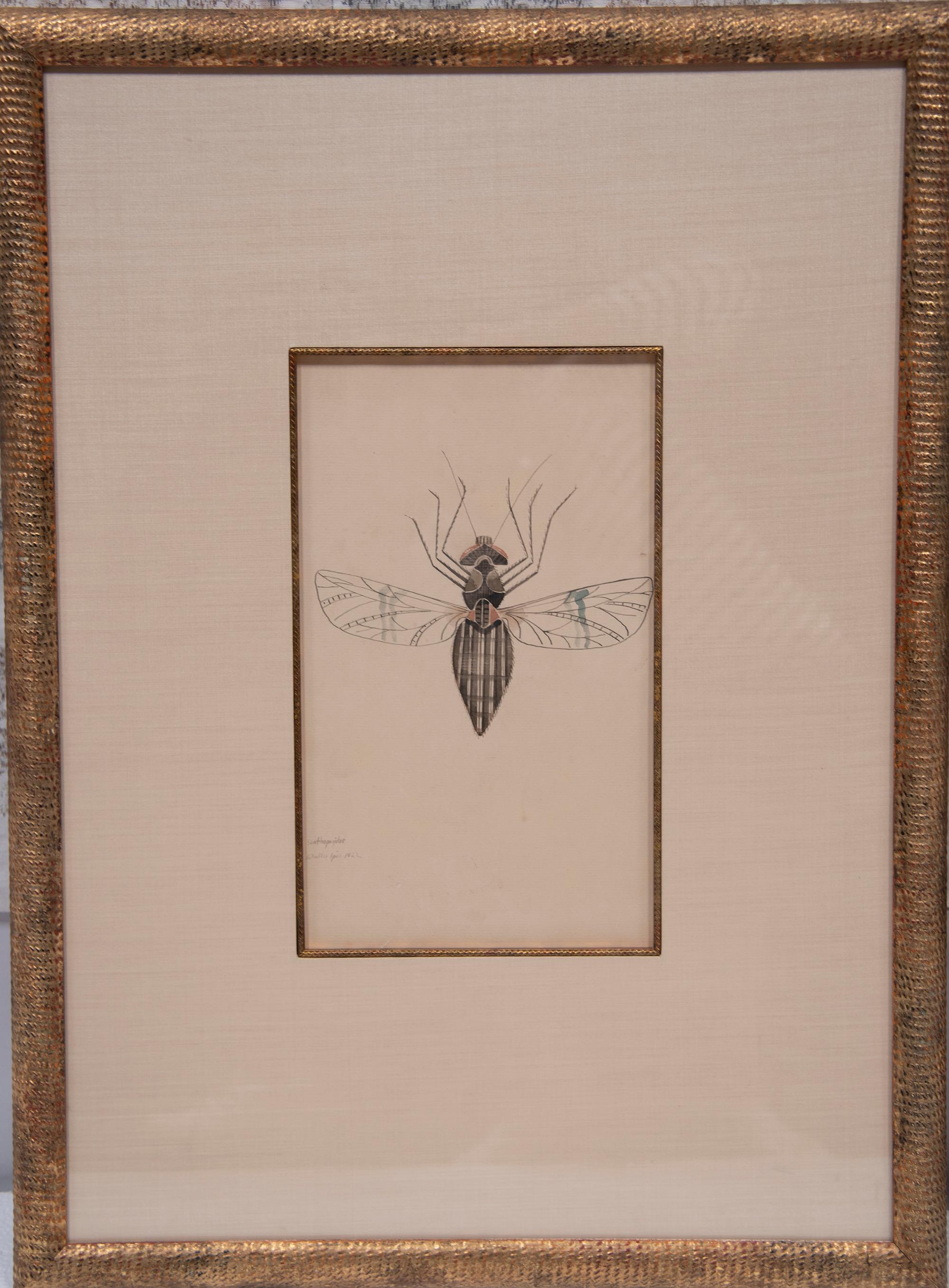 WALTER SPIES Insect Studies WATERCOLORS – Set of 4 For Sale 3