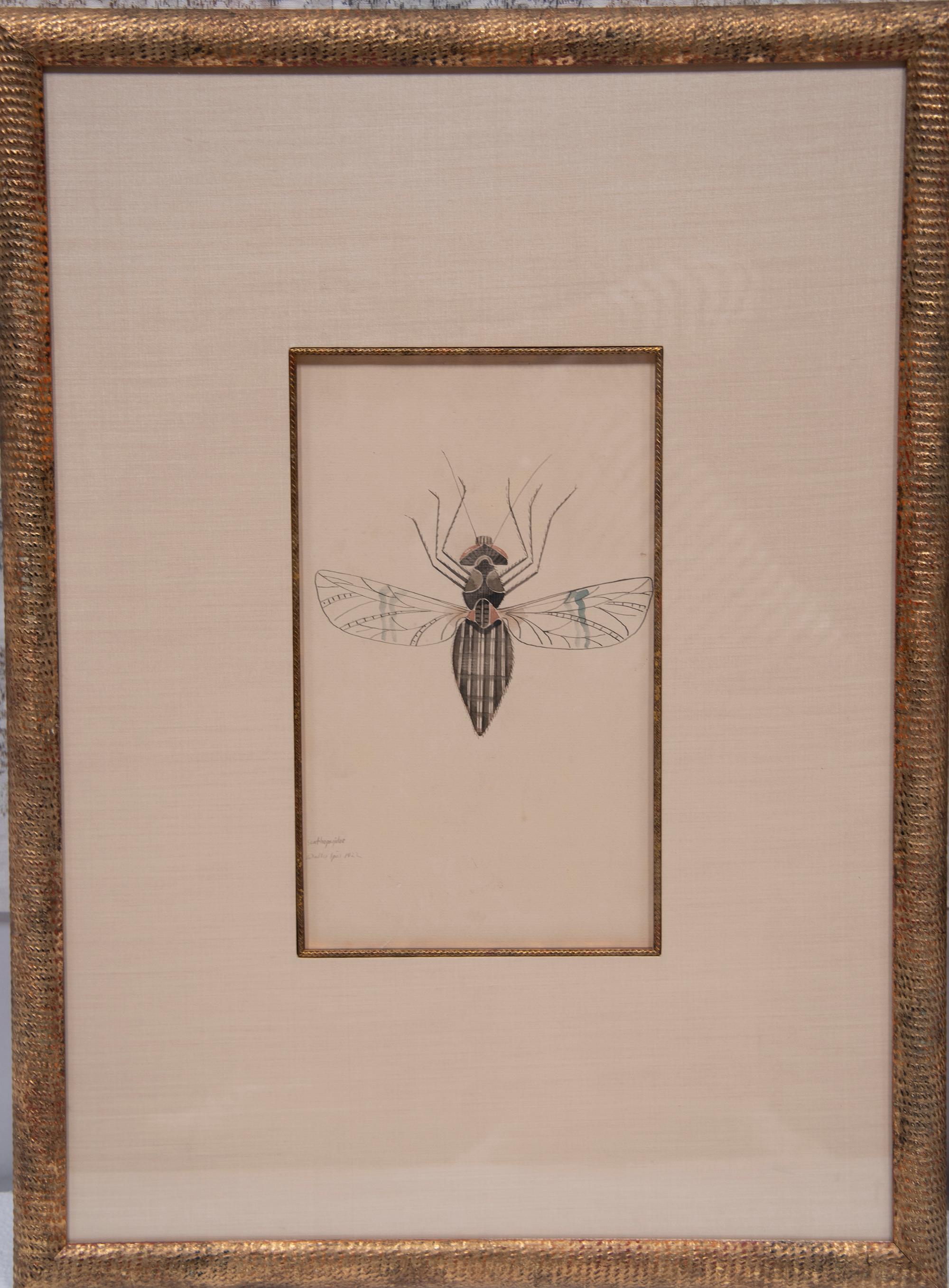 WALTER SPIES WATERCOLOURS [SET OF 4 Insect Drawings] For Sale 4