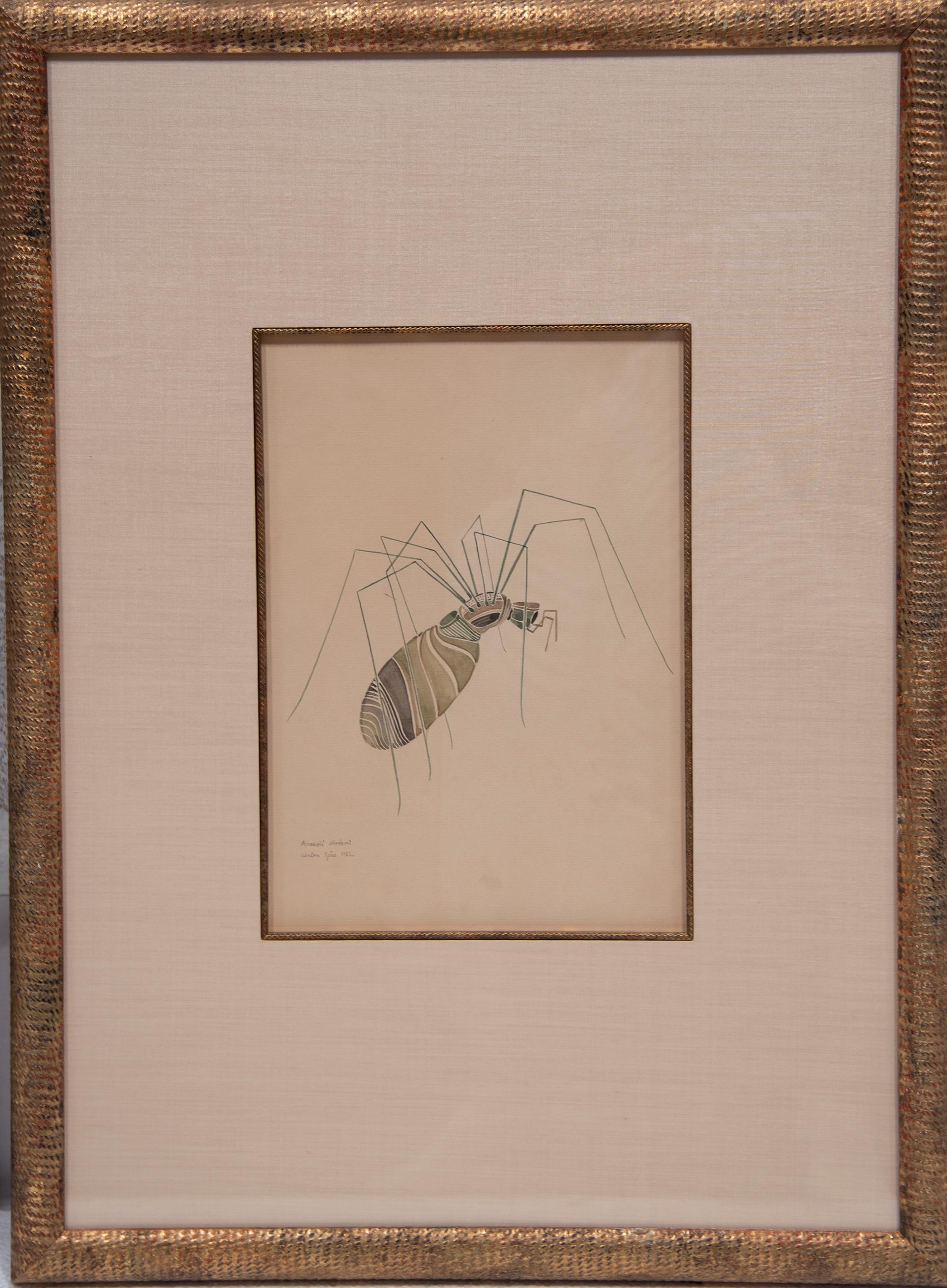 WALTER SPIES WATERCOLOURS [SET OF 4 Insect Drawings] For Sale 5