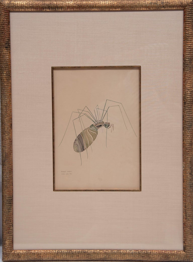 WALTER SPIES Insect Watercolour Paintings [Set of 4] For Sale 8
