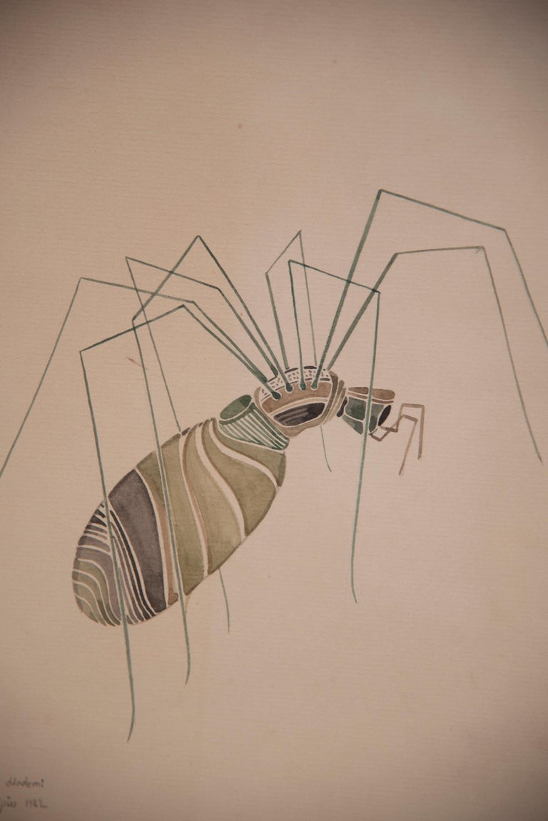WALTER SPIES Insect Watercolour Paintings [Set of 4] For Sale 1