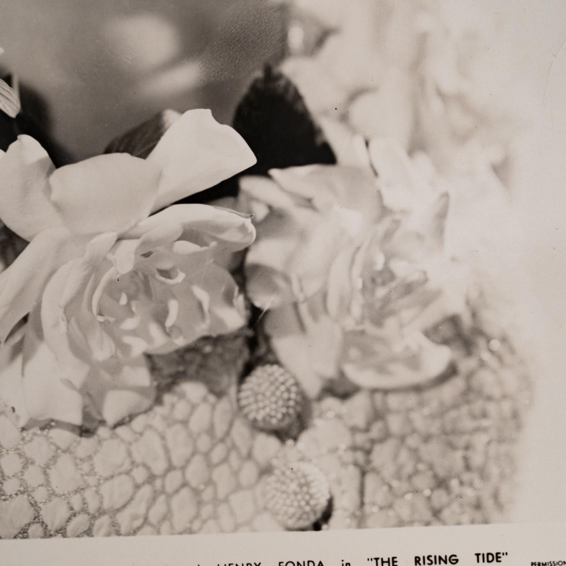 Walter Wagner. Fotografie von Madeline Carroll in dem Film 
