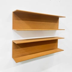 Walter Wirz Shelves, Germany 1960s
