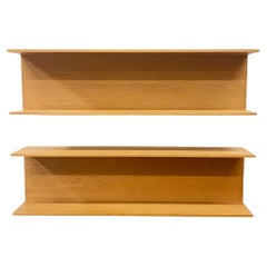 Walter Wirz Shelves, Germany 1960s
