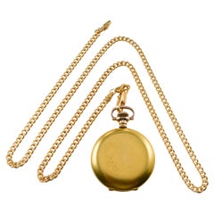 Antique Waltham Gold-filled Hunters Case Pocket Watch circa 1896 with Rare Bloom Finish