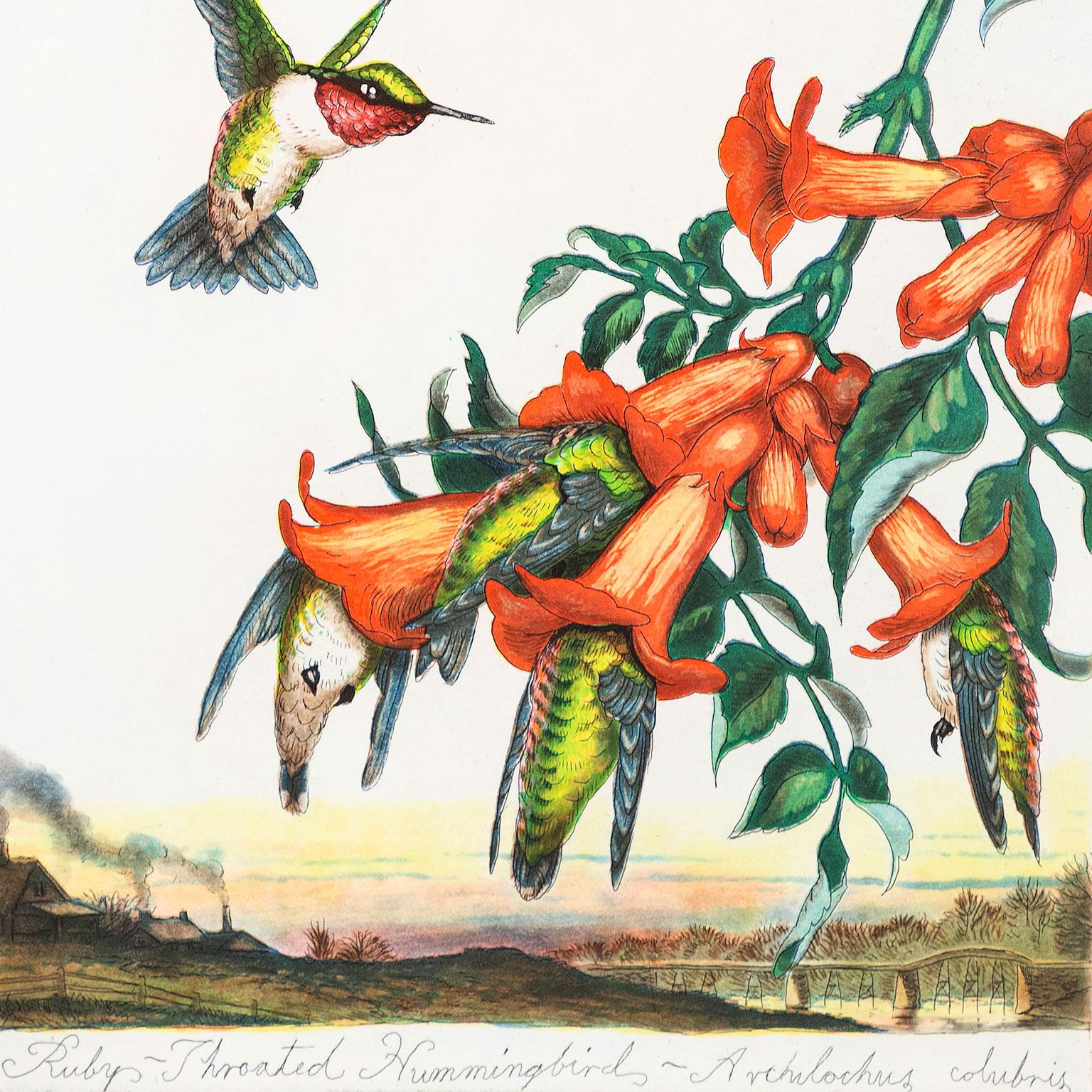 Limed Blossom - Print by Walton Ford