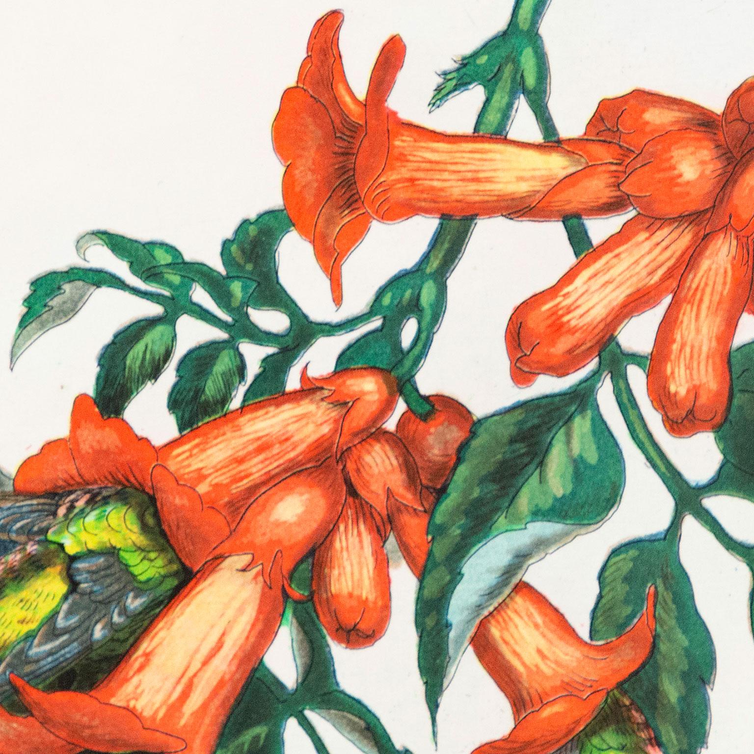 Limed Blossom - Contemporary Print by Walton Ford