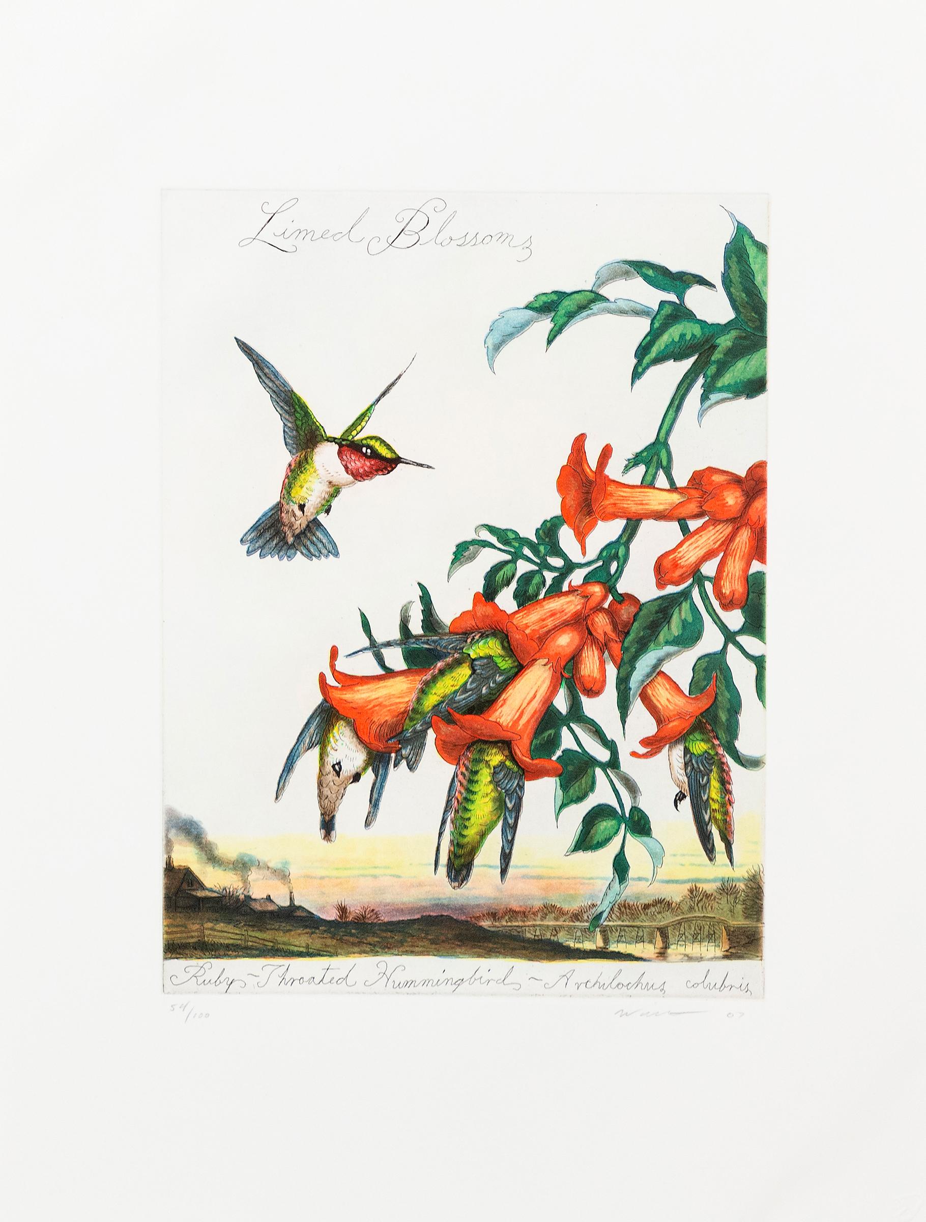 Limed Blossom For Sale 2