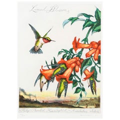 Fleur de chaux