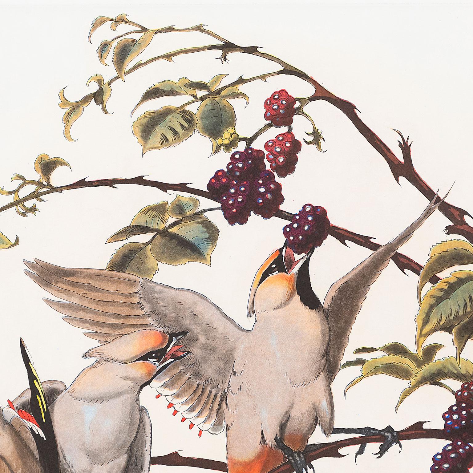 Pestvogel - Beige Figurative Print par Walton Ford