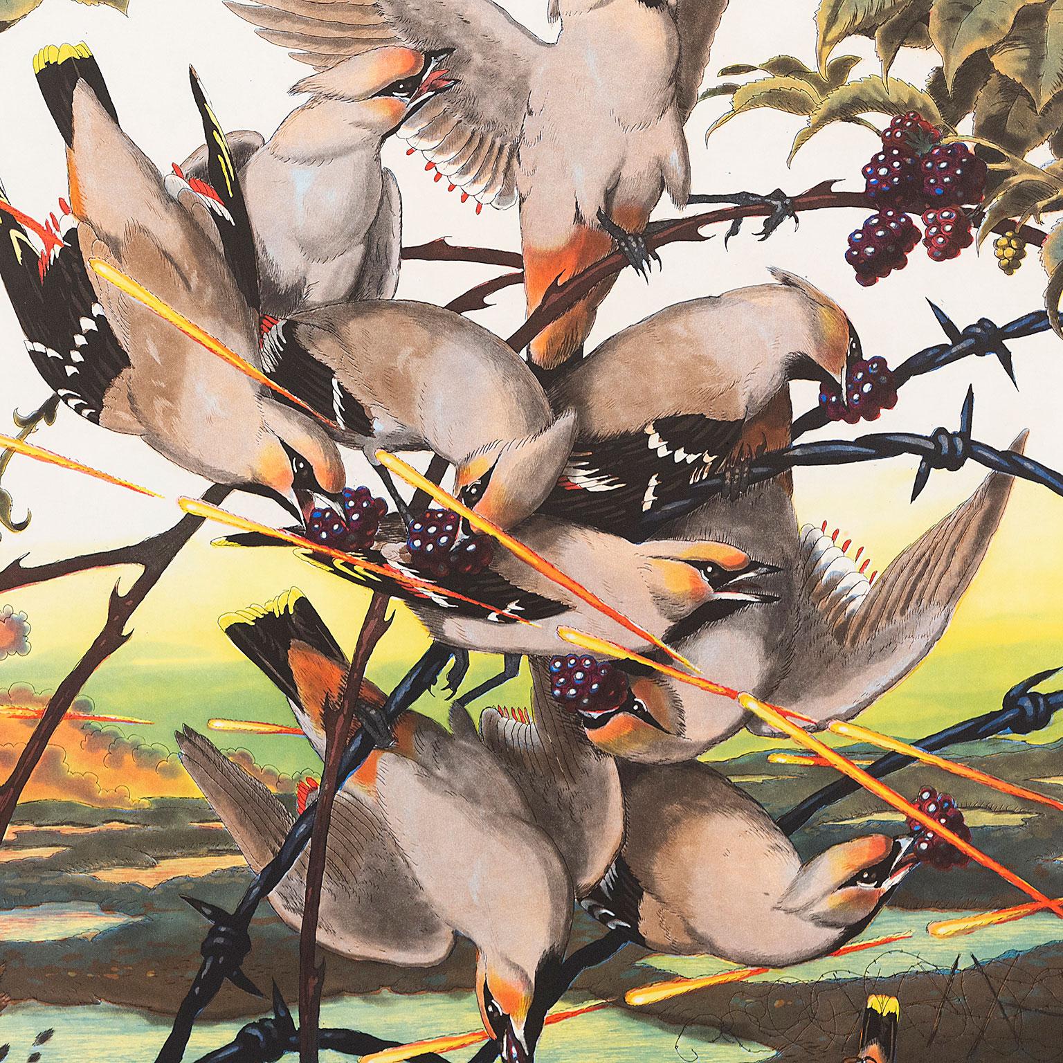 Pestvogel en vente 2