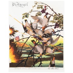 Pestvogel
