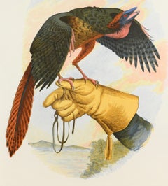 Walton Ford:: « New Tricks for Ancient Wings »:: lithographie:: signée:: 2001