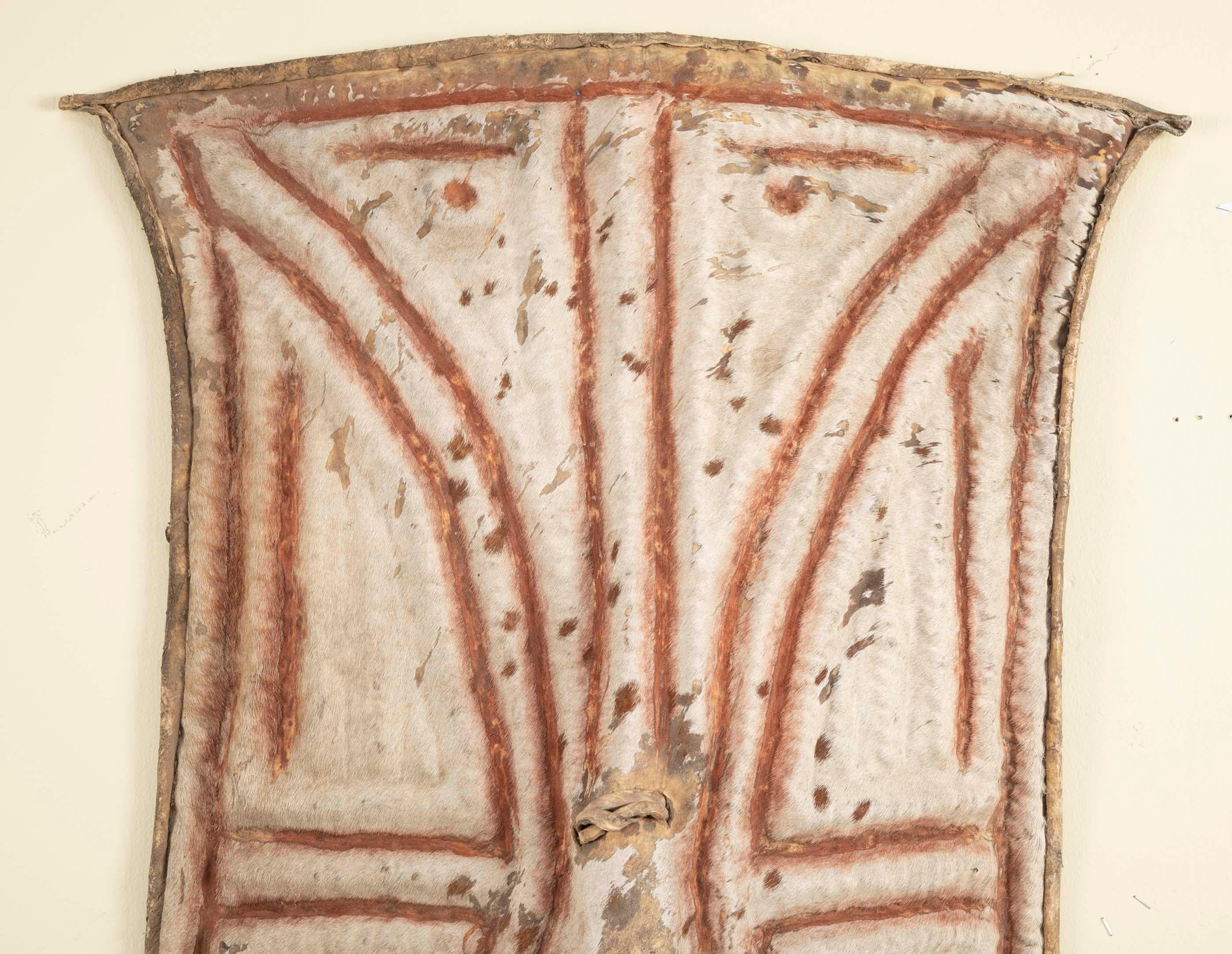 Wandalà shield, from Cameroon/Chad. Made with cowhide and natural pigments. 

For a similar example see- Benitez-Johannot, Purissima and Jean Paul Barbier, Shields: Africa, Southeast Asia and Oceania, Prestel, 2000, fig. 6 (BMG 1018-90).