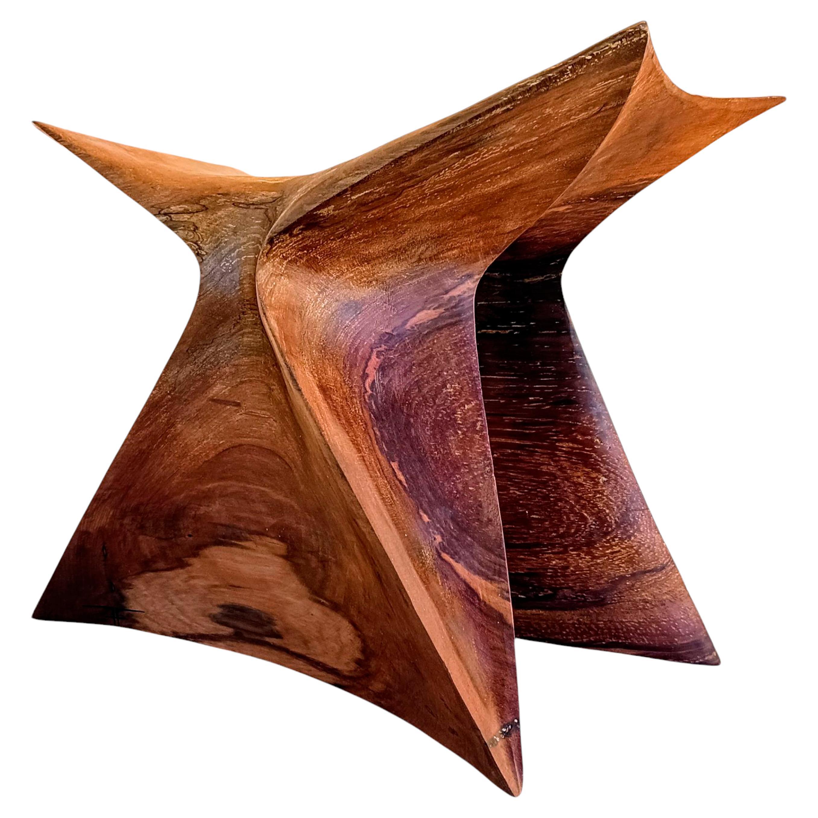Wanko Study II in Carved Ulmo Wood with Beewax Finish by Daniel Soffia For Sale