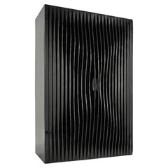 Wardrobe Casamania 
Horm Blend design Karim Rashid - Black