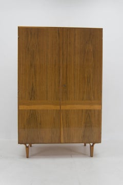 Wardrobe in High Gloss Finish by Mezulanik for Novy Domov, 1970s