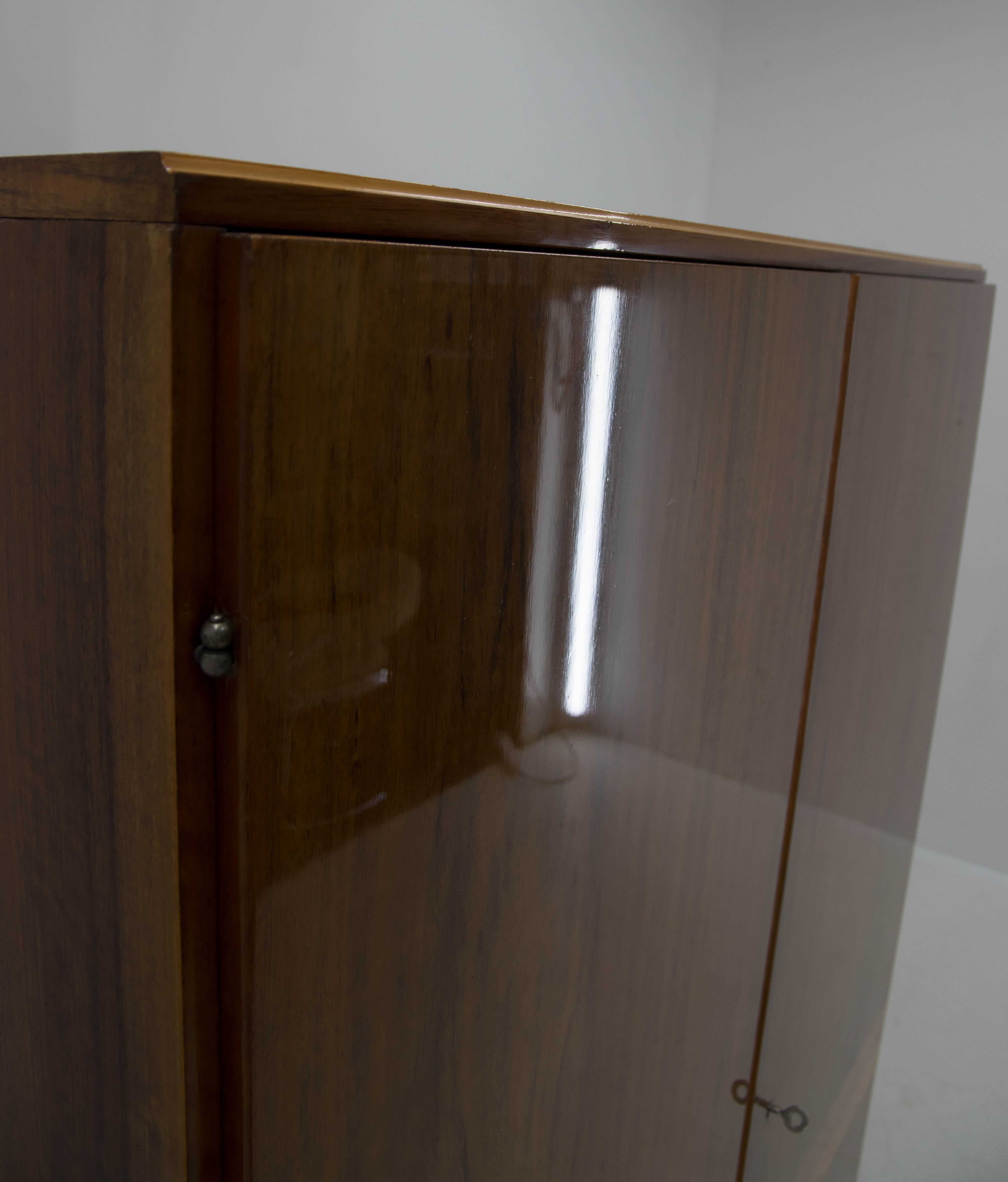 Wardrobe with Shelves in High Gloss Finish by Mezulanik for Novy Domov, 1970s 4