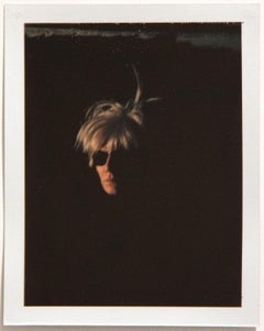 Warhol Self-Portrait (Fright Wig)