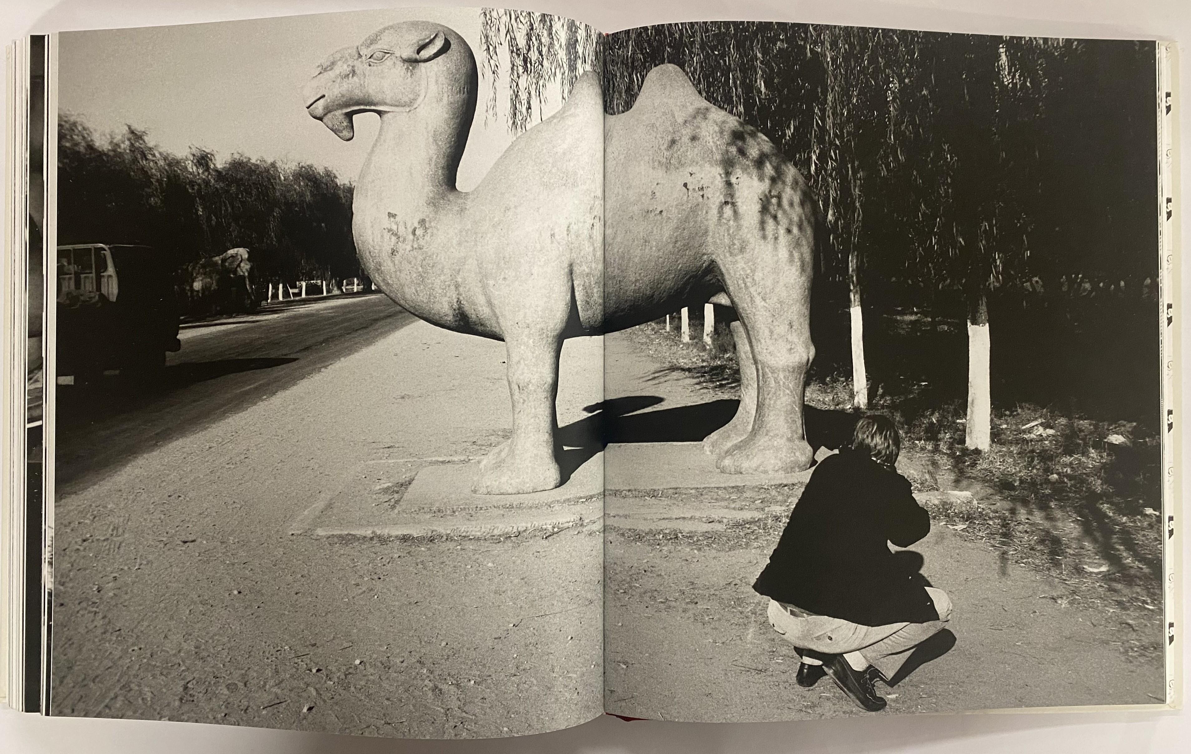 Warhol in China (Book) 9