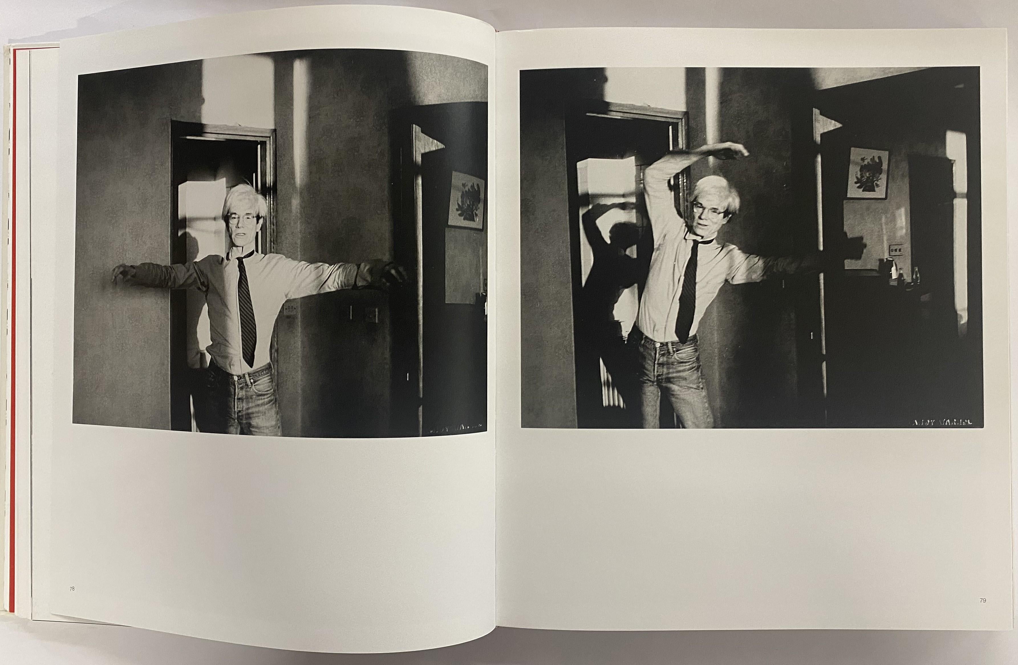 Paper Warhol in China (Book)