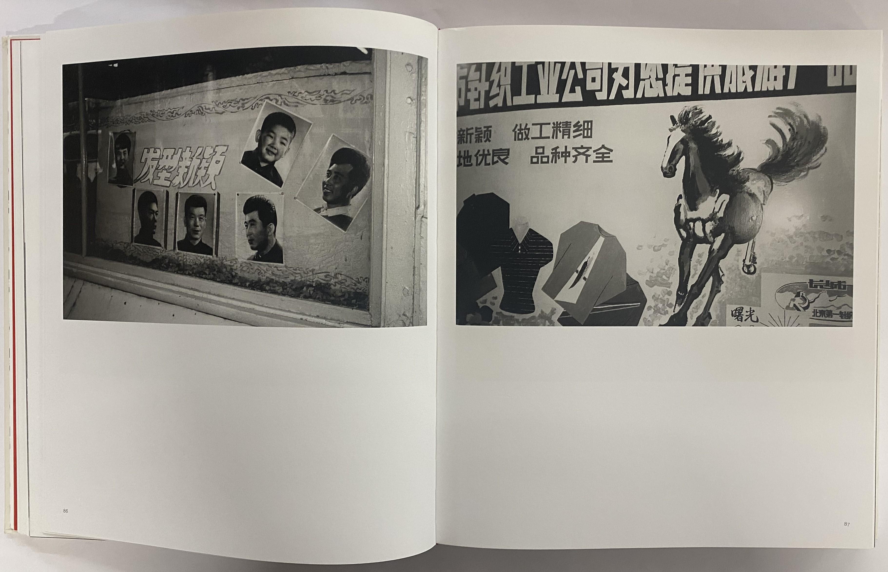 Warhol in China (Book) 1