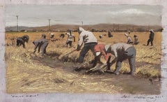 Étude champ d'oignon