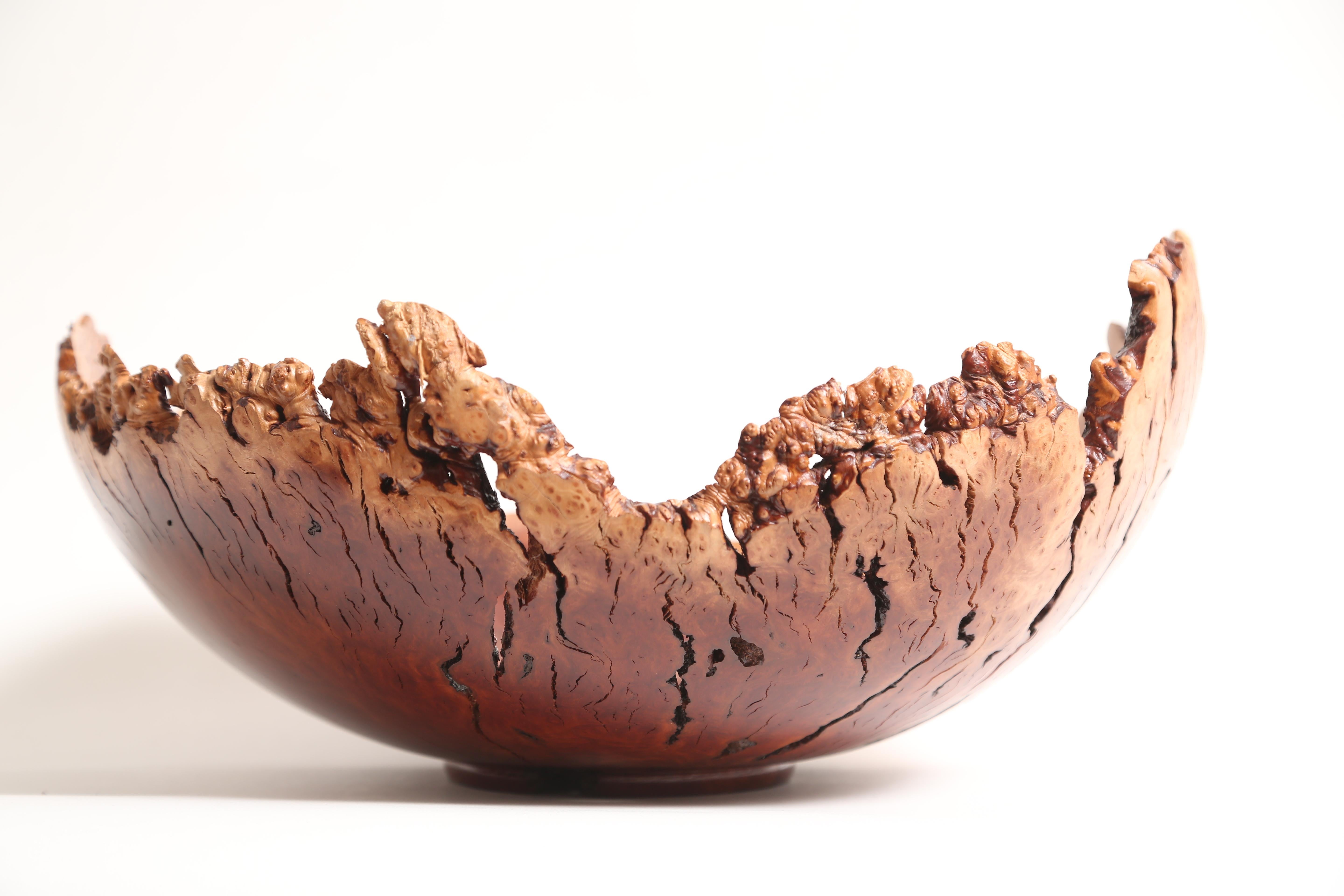 A large Manzanita wood bowl.
Expressive grain and free-edge
Manzanita is a species of evergreen.
