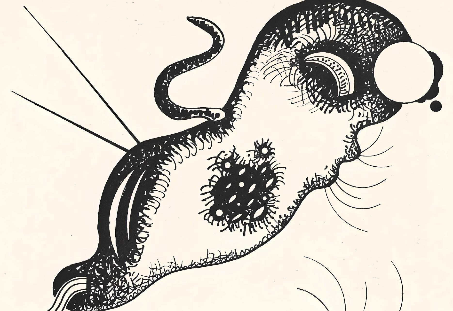 Kandinsky, Komposition, XXe Siècle (nach) – Print von Wassily Kandinsky