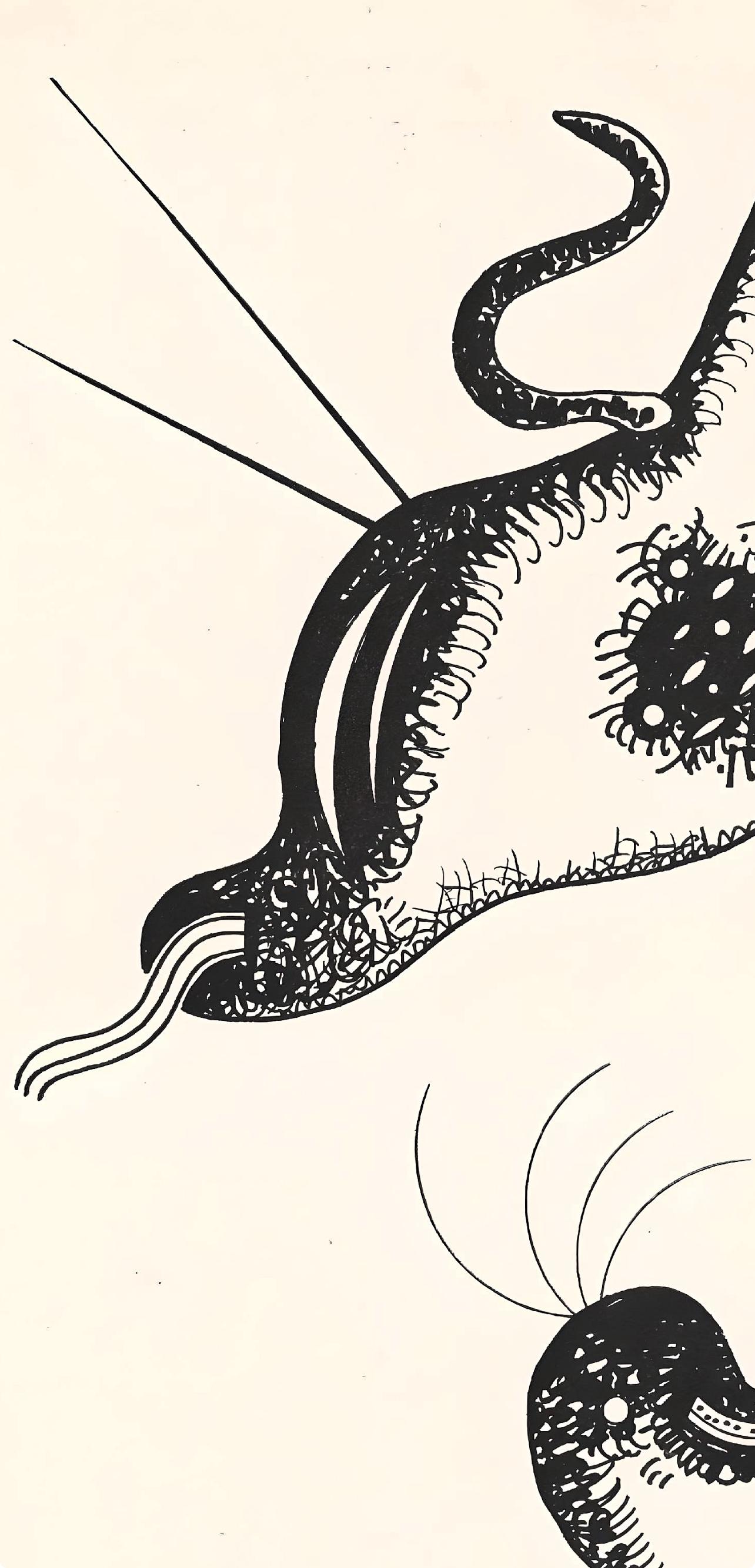 Kandinsky, Komposition, XXe Siècle (nach) im Angebot 1