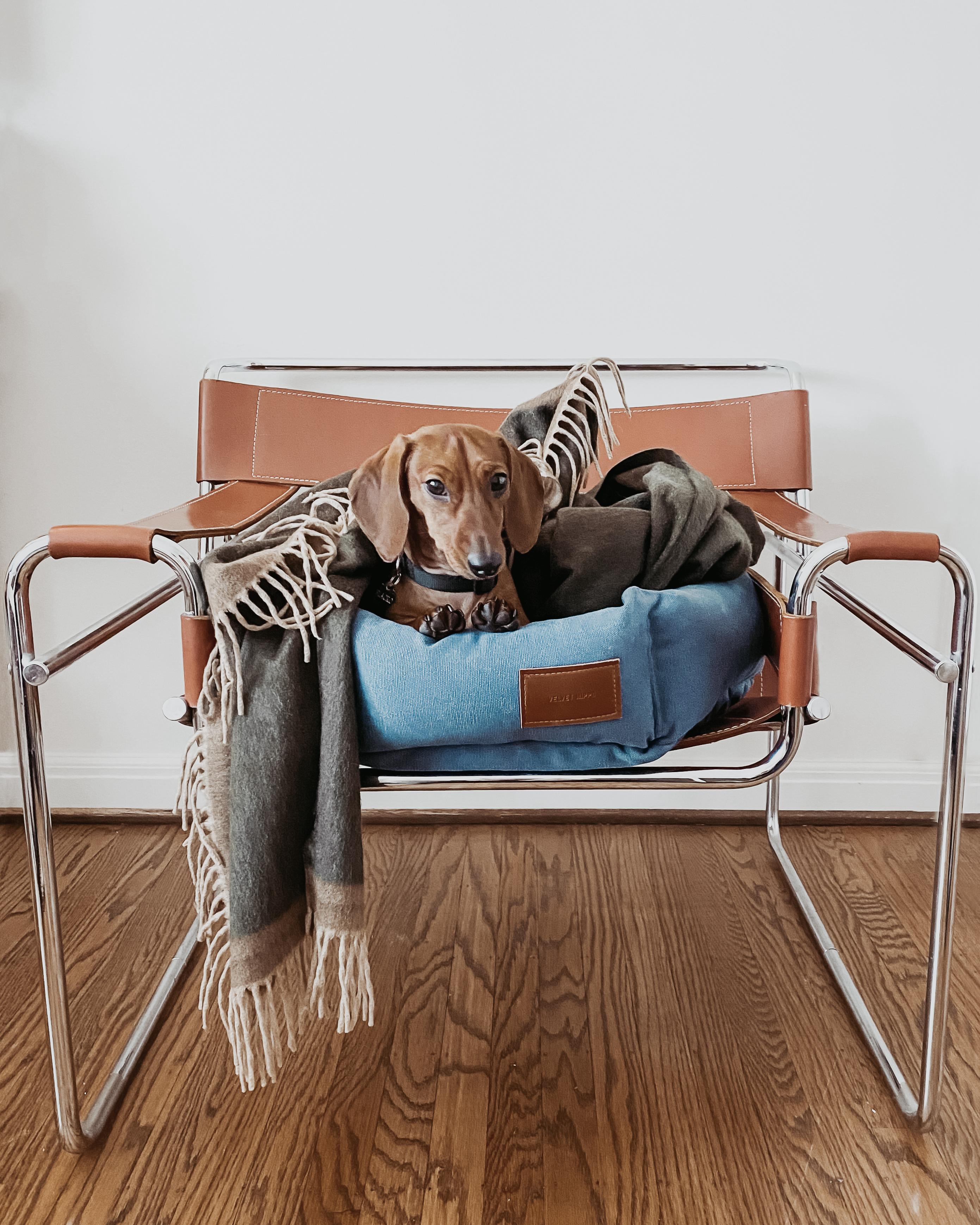 American Wassily Style Chair by Marcel Breuer-Knoll Studio, Brown Leather/Chrome Armchair For Sale