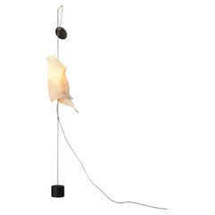 Table Lamps