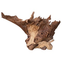 Water Buffalo Mask Natural Wood Sculpture