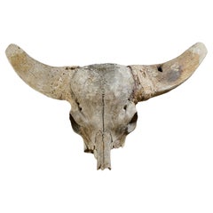 Large Carved Wood Sculpture of a Water Buffalo For Sale at 1stDibs