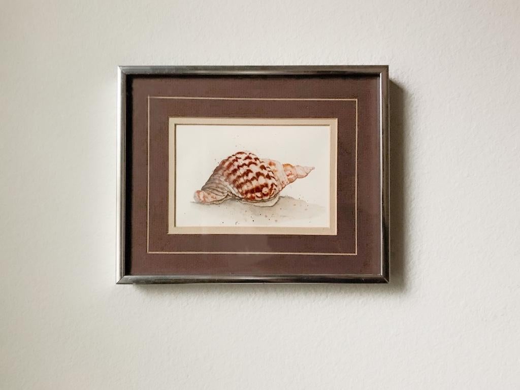 American Water Color Seashell Art For Sale