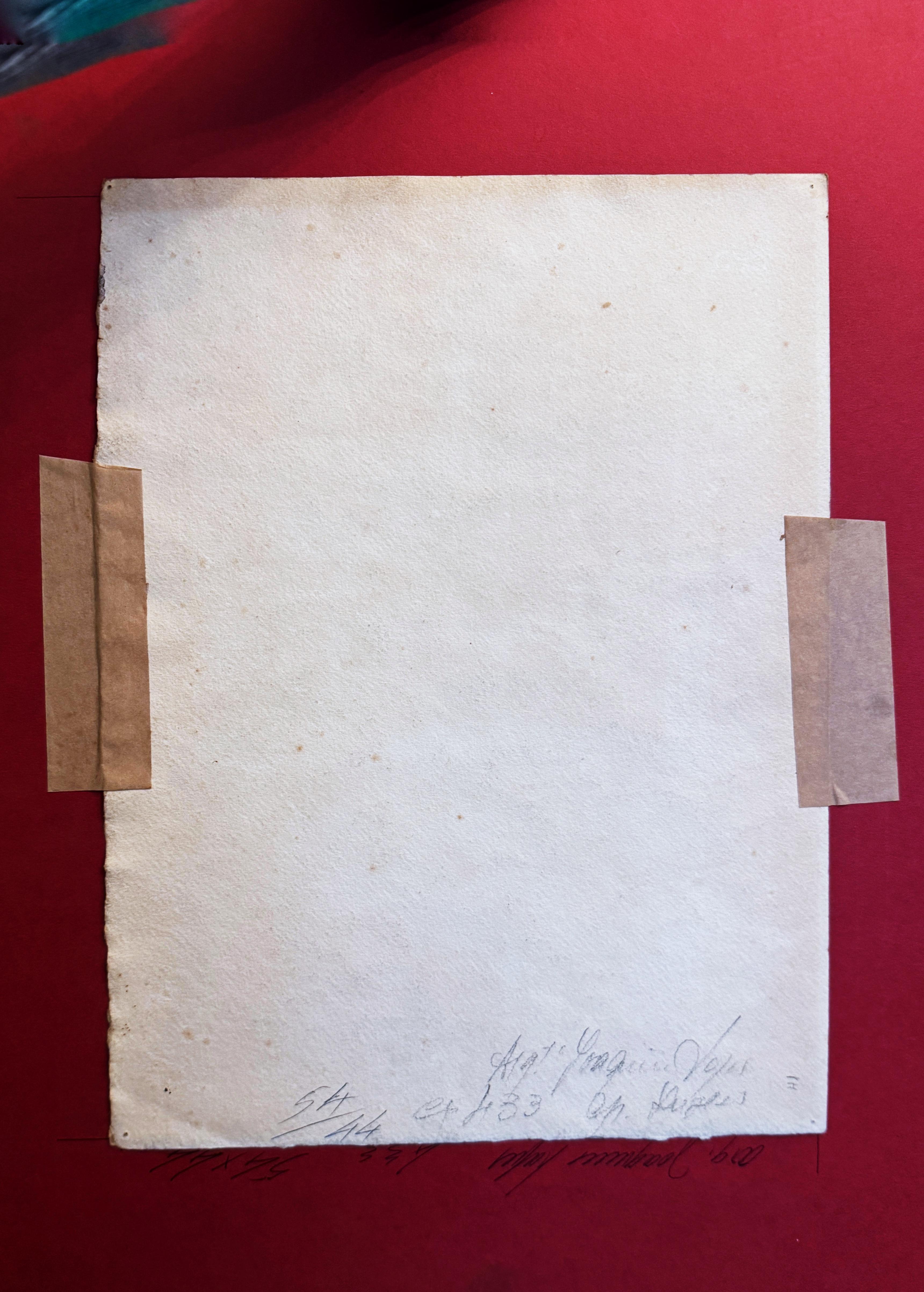 Aquarelle de fleurs de chrysanthèmes Peinture de Joaquim Lopes, école portugaise, 1946 État moyen - En vente à Lisbon, PT