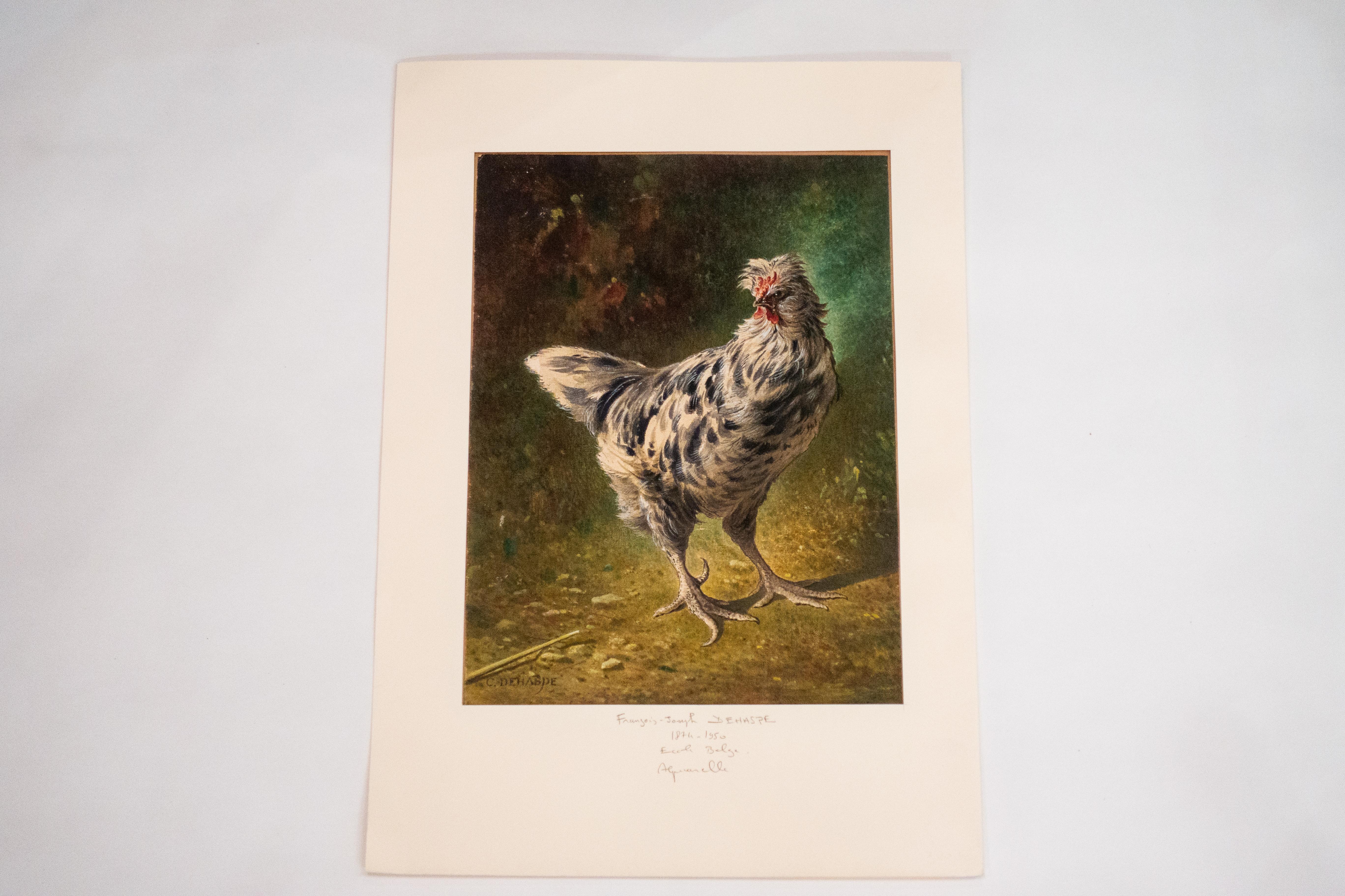 20th Century Watercolor Depiction of a Chicken Hen by Francois-Joseph DeHaspe