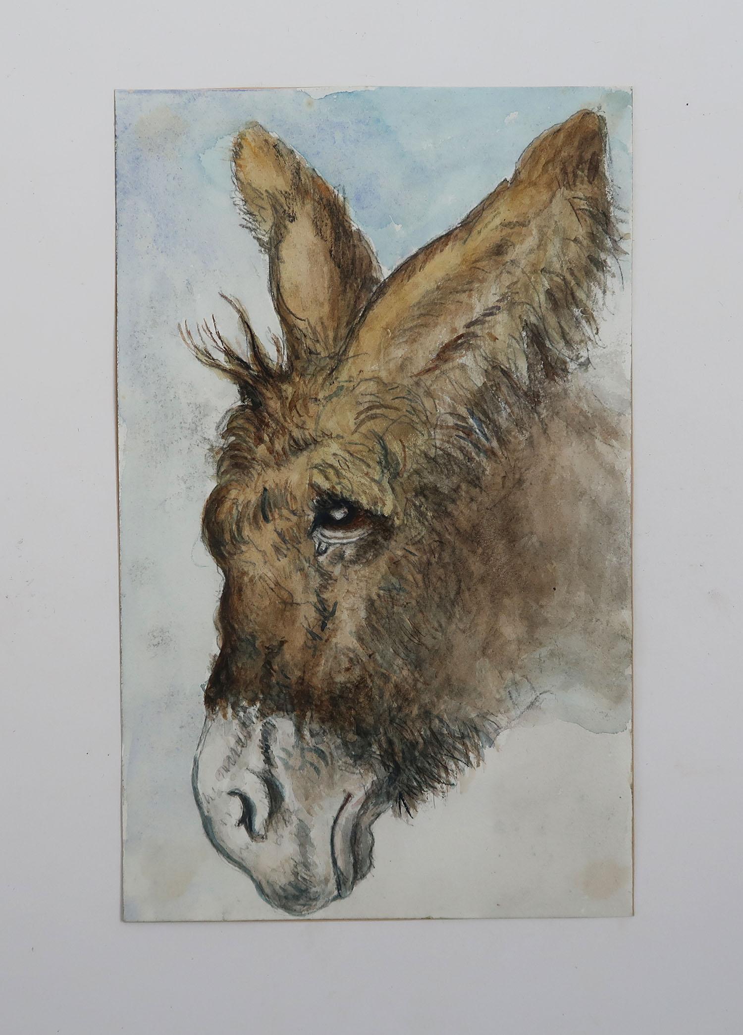 English Watercolor of a Donkey by Edwin Landseer Grundy, C.1860