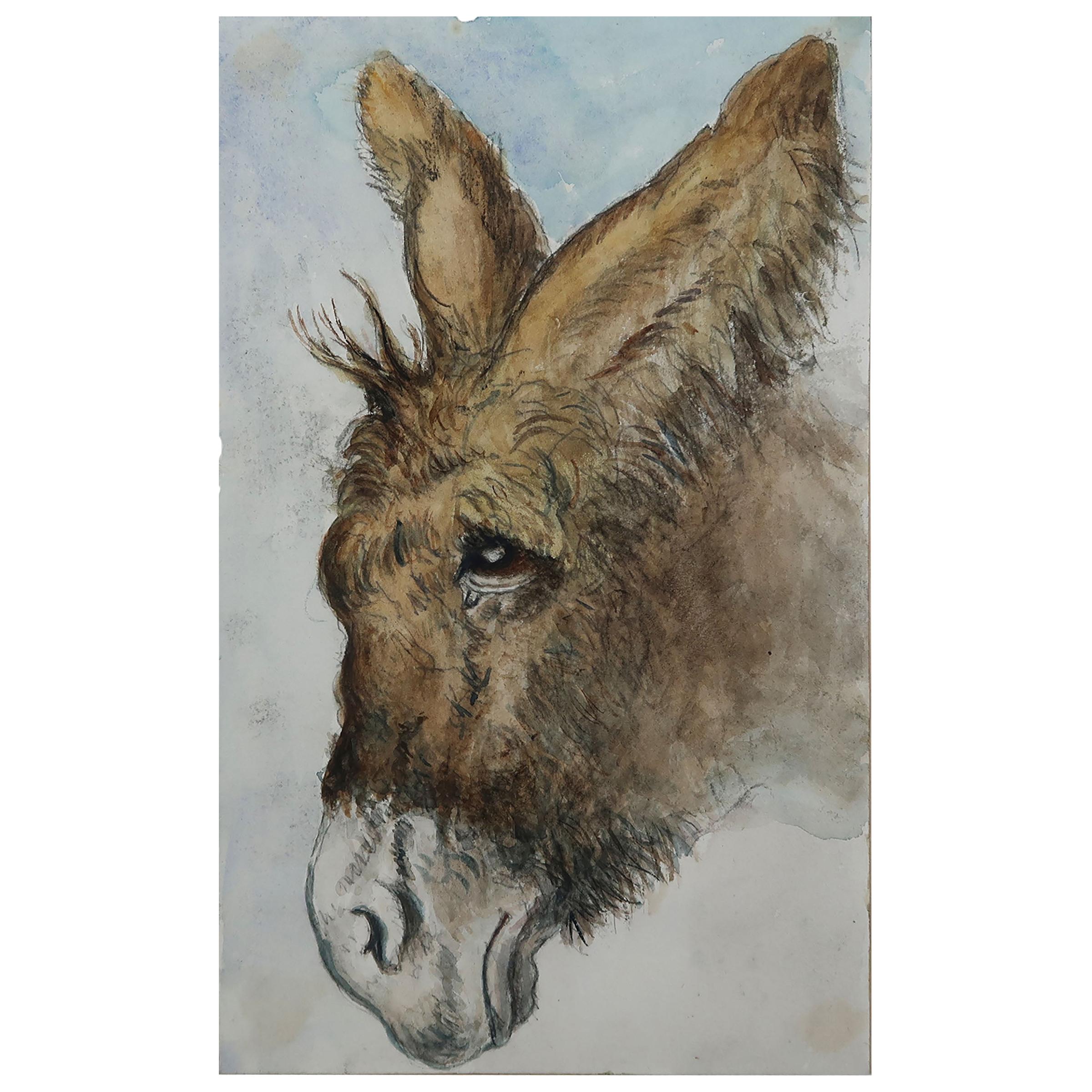 Watercolor of a Donkey by Edwin Landseer Grundy, C.1860