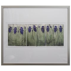 Watercolor on Paper "Iris Spring" by Scott Olson