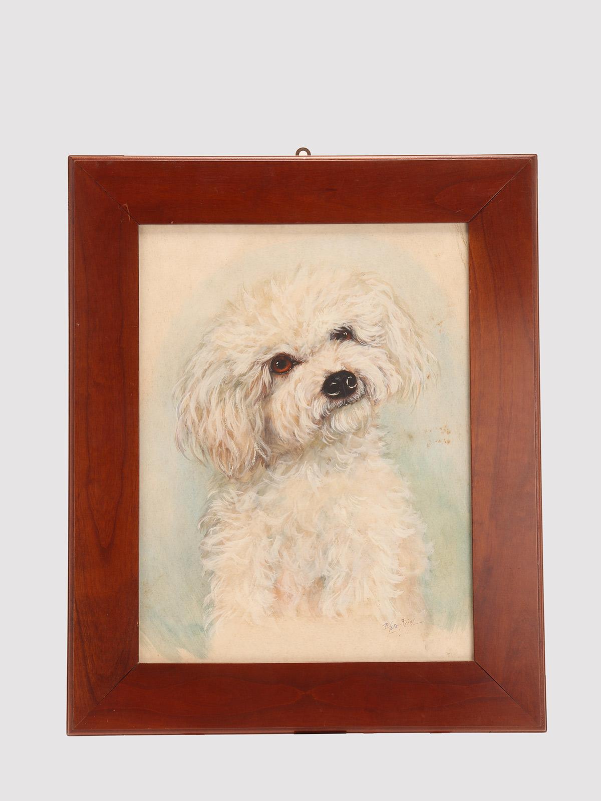 A watercolor painting, depicting a poodle. Signed. Solid cherry wood frame, polished and beeswaxed. England, 1930.