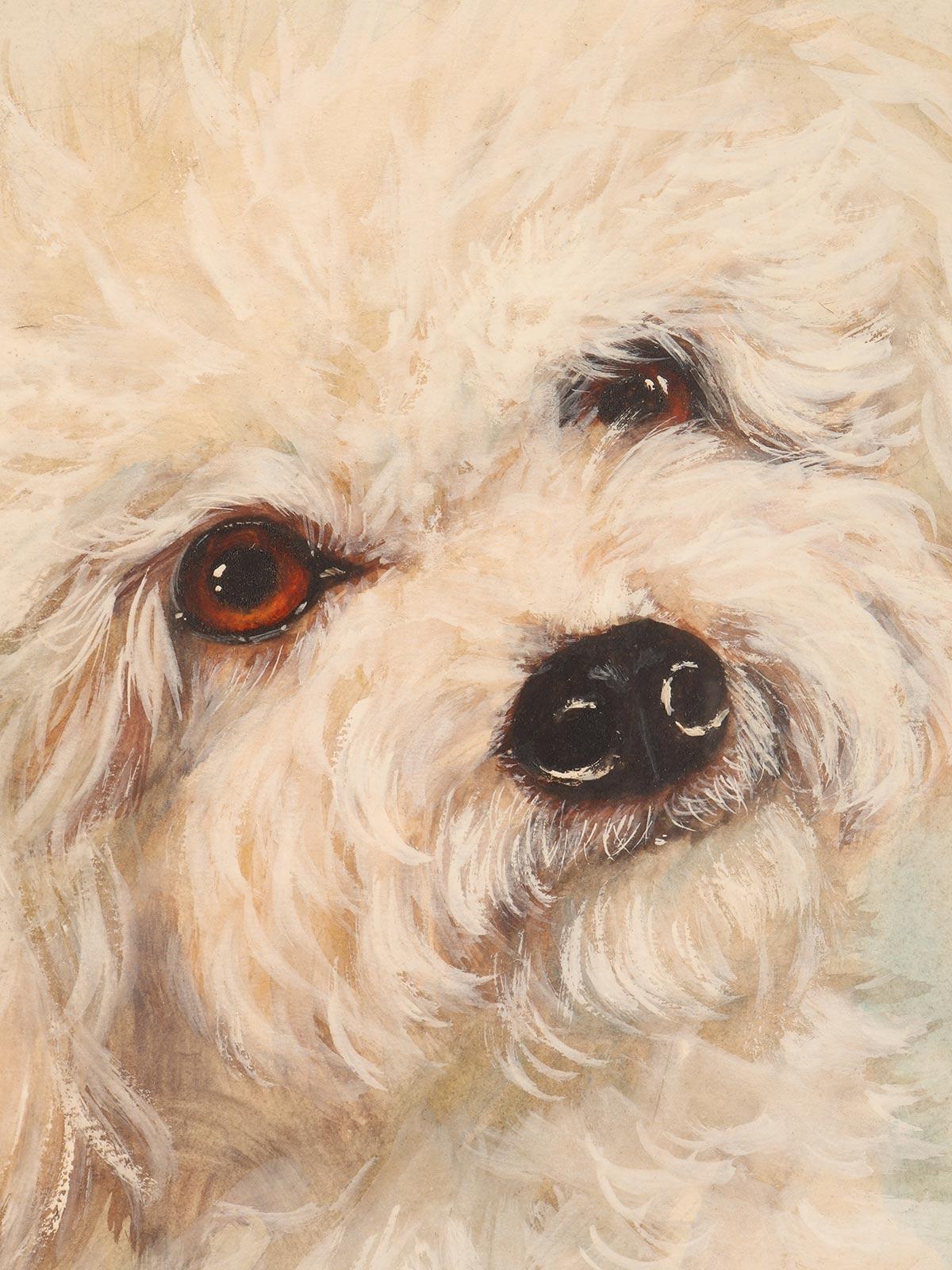 Watercolor painting depicting a poodle dog, cherry wood frame, England 1930s. In Good Condition For Sale In Milan, IT